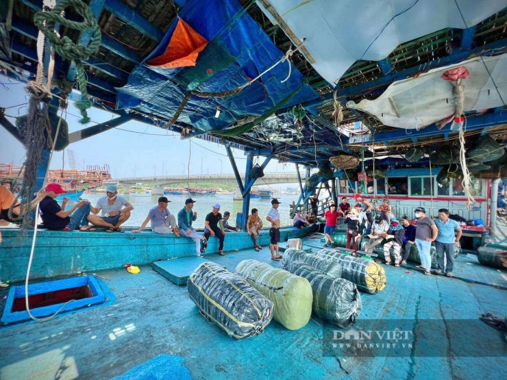 Được biết mực xà, hay còn gọi là mực ma, mực đại dương….được phân bố nhiều ở các tỉnh duyên hải miền Trung, như Đà Nẵng, Quảng Ngãi, Gia Lai và vùng biển Hoàng Sa, Trường Sa….