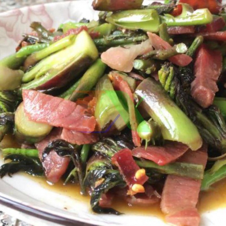 Cây Chồi Rồng Gai đượng gọi là "cây nhân sâm", và "báu vật đầu tiên của thế giới". Ngoài việc xem và ăn, nụ vối gai còn có giá trị y học nhất định, có tác dụng bảo vệ gan, bồi bổ cơ thể, có tác dụng chữa bệnh tốt trong điều trị các chứng viêm cấp và mãn tính, suy nhược thần kinh. Người ta còn cho rằng củ gai Longbao có công năng bổ khí, làm dịu thần kinh, cường tinh, bổ thận tráng dương.