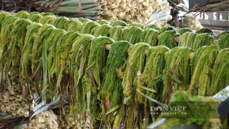 Trung bình 60kg lá khóm tươi có thể cho ra 1kg sợi khóm.