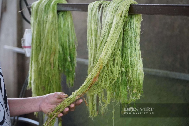 Sợi khóm được sắp thẳng.