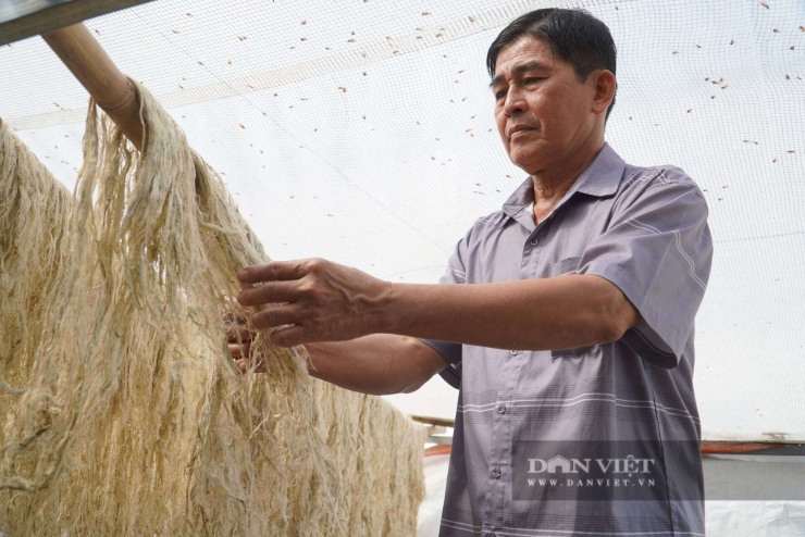 Sợi khóm thành phẩm sẽ phục vụ cho ngành dệt may.