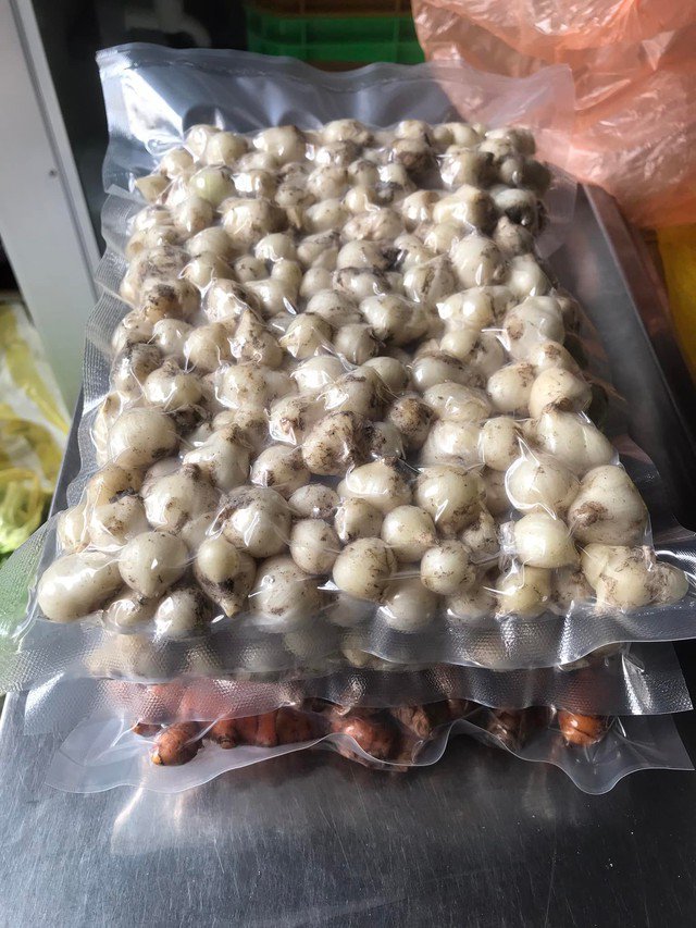 Đây là cách bảo quản hành tỏi khô hiệu quả, hiện đại, giúp kéo dài thời gian lưu trữ và giữ chất lượng ổn định.