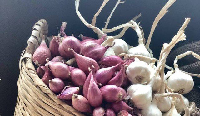 Cho hành tỏi vào hũ thủy tinh để bảo quản, cứ 2–3 tuần nên mở hũ kiểm tra và thay gói hút ẩm nếu cần.