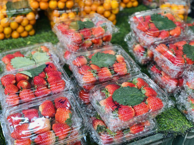 Có nhiều kích thước dâu tây để người tiêu dùng lựa chọn và quả càng to, đẹp giá càng cao.