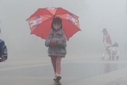 Tiết Đại hàn năm nay rét đậm ảnh hưởng gì đến thời tiết Tết Nguyên đán?