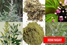 Tin tức sức khỏe - Học người Nhật bí quyết giảm đau xương khớp được truyền qua hàng trăm năm