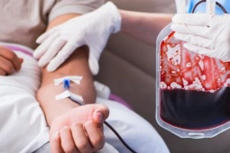 Phòng ngừa suy thận từ bữa ăn hằng ngày: Những sai lầm nhiều người Việt đang mắc