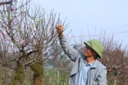 Nghề 'đánh cược' với ông trời