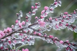 Tin không khí lạnh mới nhất: Miền Bắc tái diễn rét đậm rét hại, nguy cơ băng giá