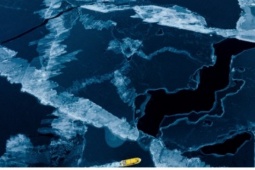 Những cuộc gặp “không dễ dàng” giữa Mỹ và đồng minh tại Davos