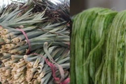 Cận cảnh quy trình ép thứ lá có gai trước chỉ bỏ đi nay "đẻ" ra tiền của nông dân Cần Thơ