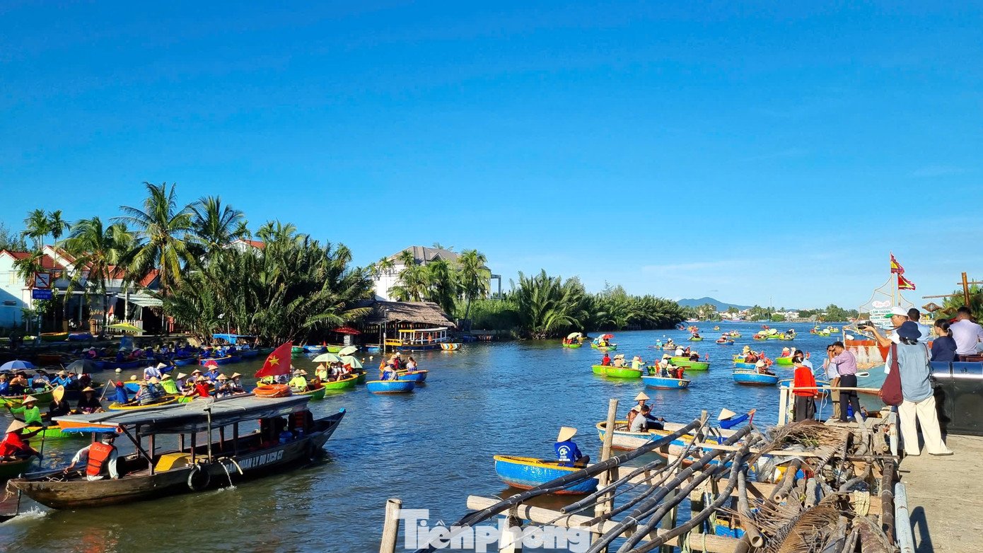 Du khách đến đây thích thú khám phá Cẩm Thanh trên chiếc thuyền thúng lướt nhẹ qua rừng dừa Bảy Mẫu và chứng kiến những người lái đò địa phương quăng chài là trải nghiệm khó quên.