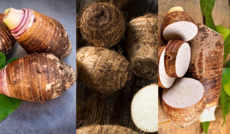 Khoai môn là thực phẩm bổ dưỡng và dễ chế biến, nhưng chỉ thực sự tốt cho sức khỏe khi được sử dụng đúng cách