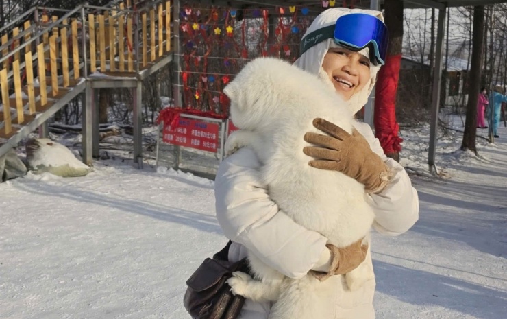 Cáo tuyết ở Yabuli, thuộc dãy Trường Bạch, Hắc Long Giang.