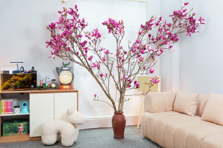 Nhiều gia đình mua mộc lan chơi Tết - 1