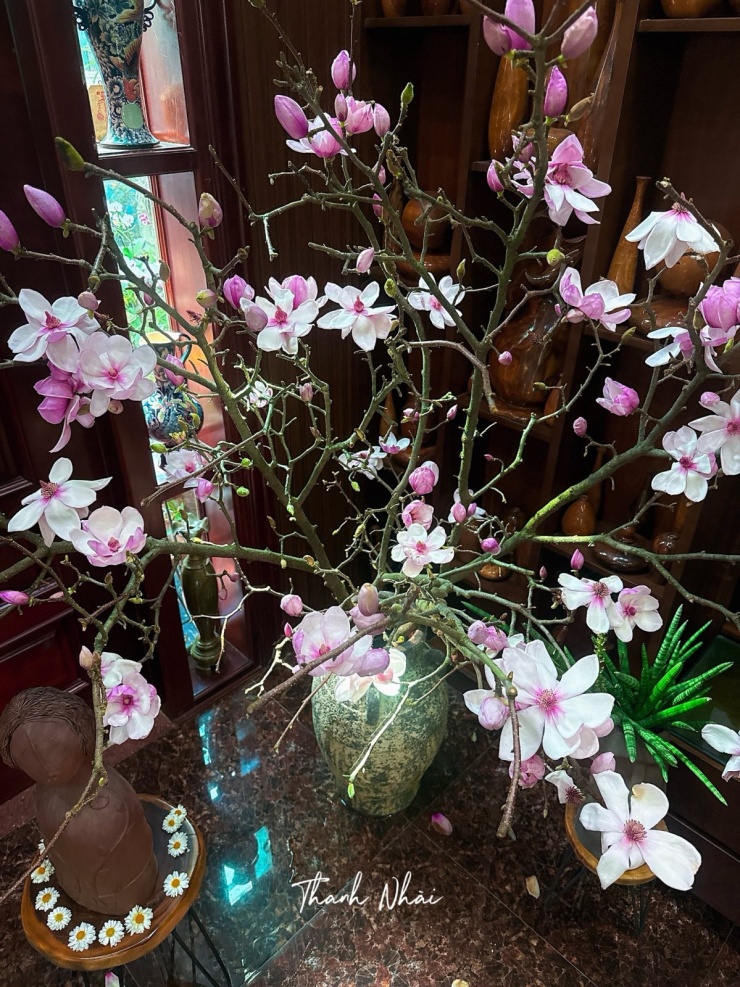 Nhiều gia đình mua mộc lan chơi Tết - 3