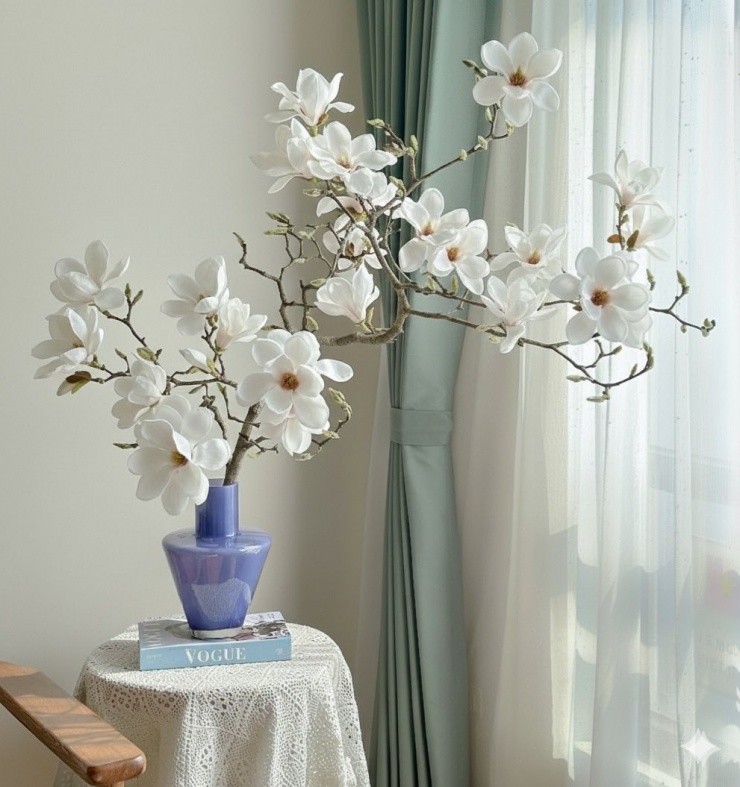 Nhiều gia đình mua mộc lan chơi Tết - 5