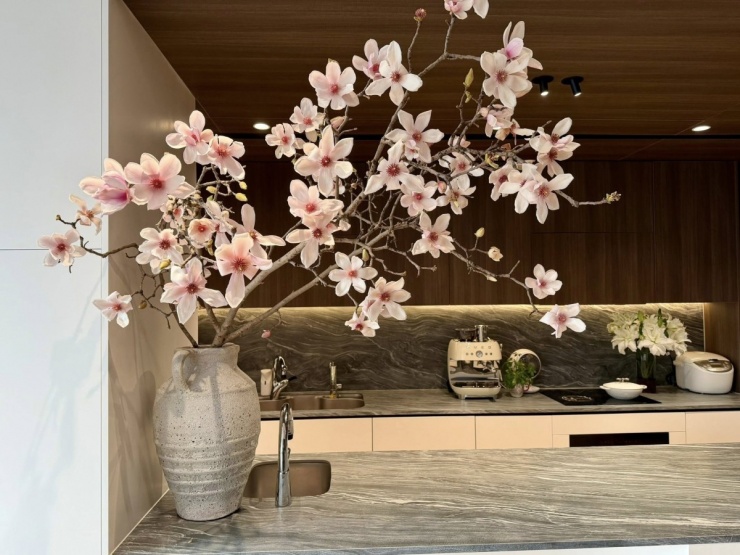 Nhiều gia đình mua mộc lan chơi Tết - 4