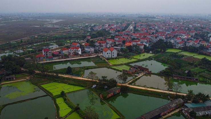 Nhộn nhịp thủ phủ cá chép đỏ cúng Tết ông Công, ông Táo - 1