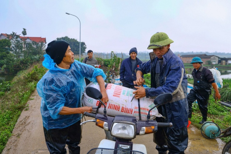 Nhộn nhịp thủ phủ cá chép đỏ cúng Tết ông Công, ông Táo - 4