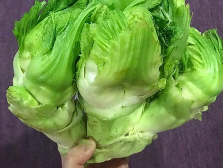 Loại rau ví như 'vàng' giúp ruột khỏe, giải độc, kháng viêm, đang vào mùa ngon nhất năm - 2