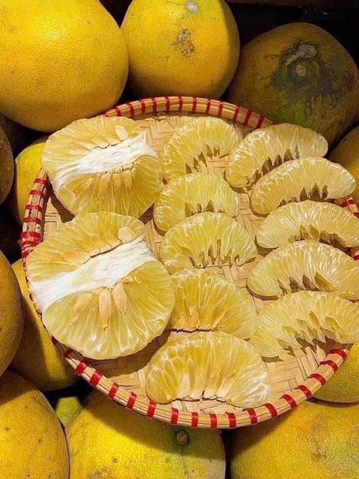 Bưởi là cây ăn quả được trồng chủ lực ở nhiều địa phương. Ảnh: NVCC