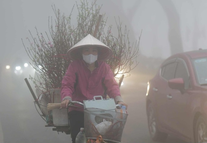 Người phụ nữ chở đào đi bán trong sương mù, giá rét đông 2024-2025 ở Hà Nội. Ảnh: Thanh Hải