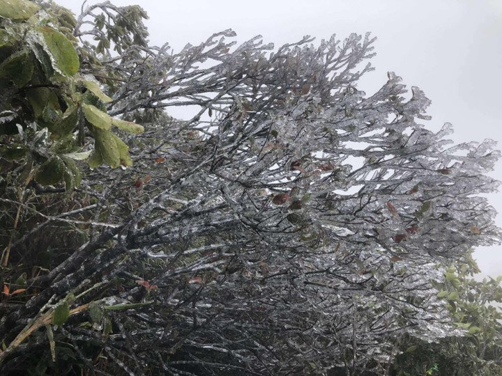 Băng giá mỏng xuất hiện sáng 22/1 tại đỉnh Mẫu Sơn, Lạng Sơn. (Ảnh: Miền Núi Vlog)