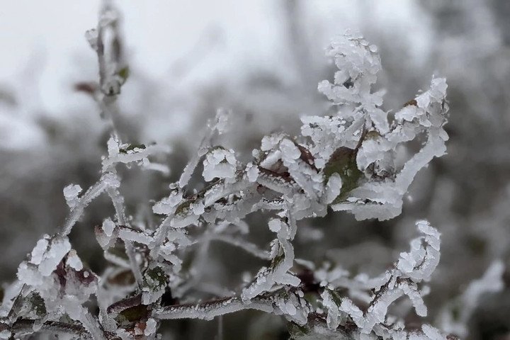 Không ít người đặt câu hỏi tết Đại Hàn 2026 bắt đầu khi nào và sẽ kéo dài trong bao lâu? (Ảnh: Báo tiền phong)