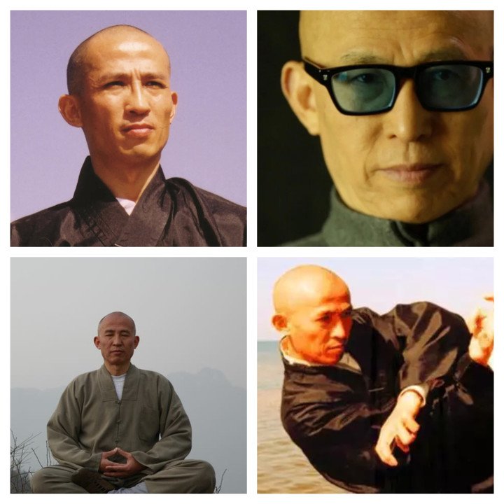 Chân dung Lưu Hướng Dương