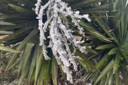 Nhiệt độ xuống 0,3°C, băng giá xuất hiện trên đỉnh Mẫu Sơn