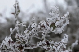 Tiết Đại hàn 2026 bao giờ kết thúc?