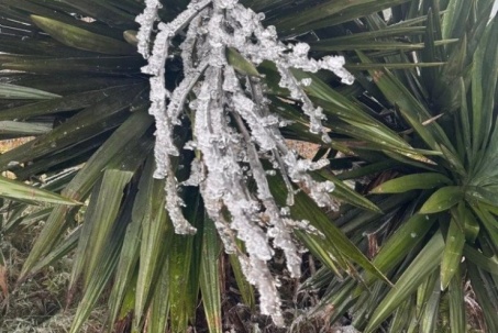 Nhiệt độ xuống 0,3°C, băng giá xuất hiện trên đỉnh Mẫu Sơn