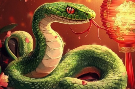 Có quý nhân 'chống lưng', 3 con giáp gặp hung hóa cát, bước qua năm Bính Ngọ nhẹ tênh