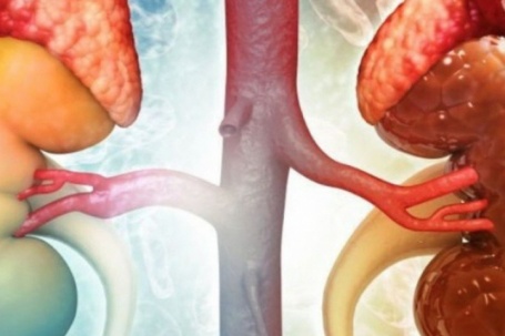 Loại quả giàu dinh dưỡng nhiều người Việt thích ăn nhưng người bệnh suy thận cần phải tránh