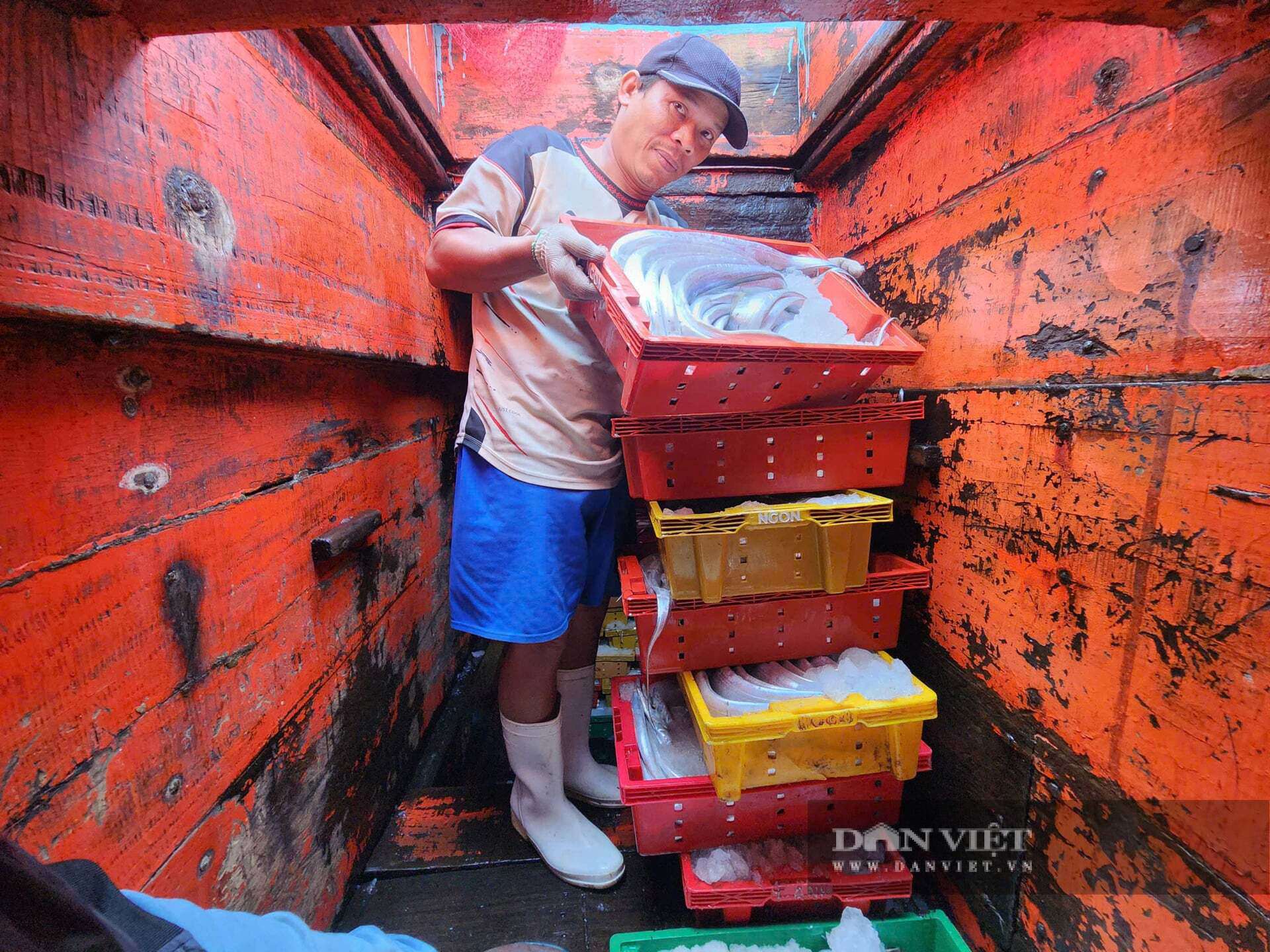 Ngư dân phấn khởi khi trúng đậm luồng cá hố, thu về hàng tỷ đồng.