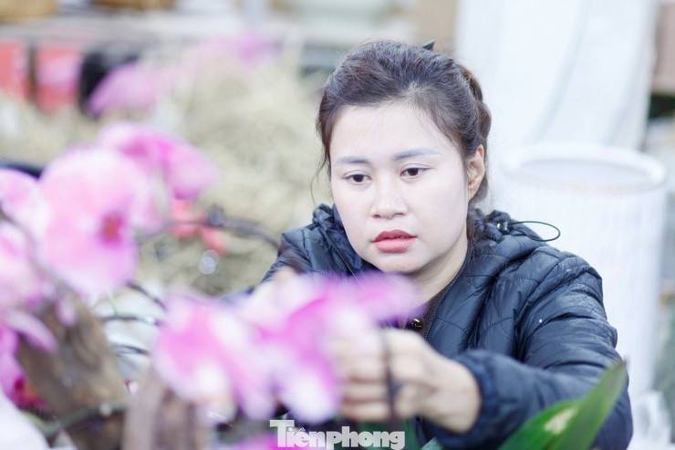Chị Đặng Vân Anh, ở phường Chu Văn An, TP. Hải Phòng đến cắm hoa lan thuê cho một cửa hàng trên đường Lê Lợi, phường Bắc Giang, Bắc Ninh. Chị Anh cho biết, vụ Tết, chị kiếm được tiền triệu mỗi ngày, thậm chí ngày cao điểm bỏ túi 4 - 5 triệu đồng.