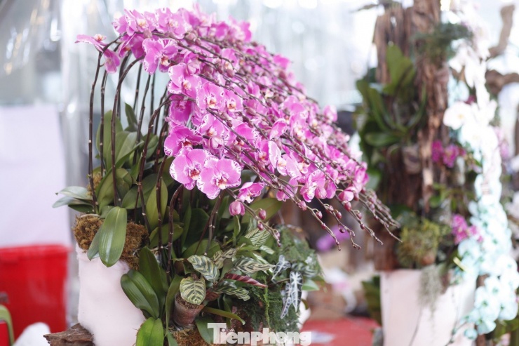 'Hái ra tiền' nghề cắm hoa Tết, cao điểm thu 4-5 triệu đồng/ngày - 8