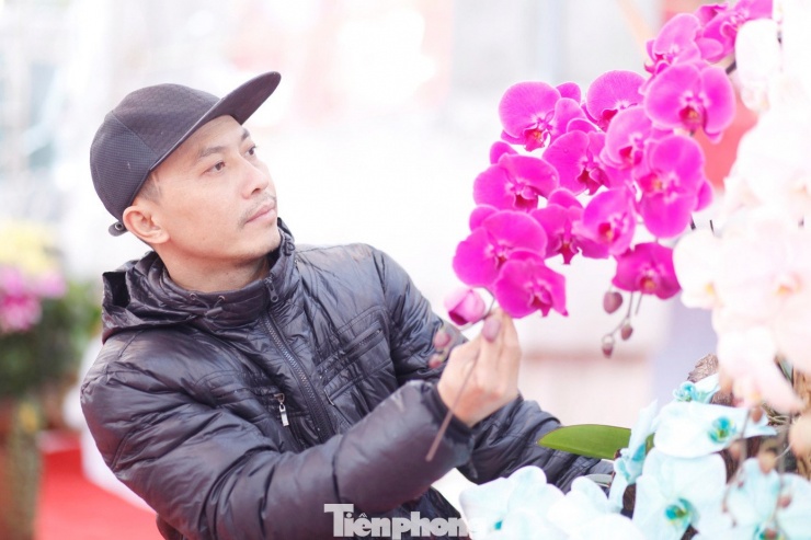 Thợ cắm hoa lan thuê làm việc tất bật từ sáng sớm đến tối mịt vào những ngày cận Tết.