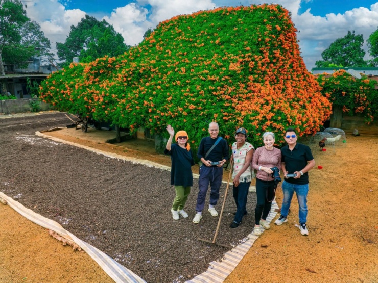 Ngôi nhà rực đỏ hoa xác pháo mang sắc Tết về vùng cao Lâm Đồng - 3