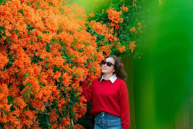 Ngôi nhà rực đỏ hoa xác pháo mang sắc Tết về vùng cao Lâm Đồng - 6