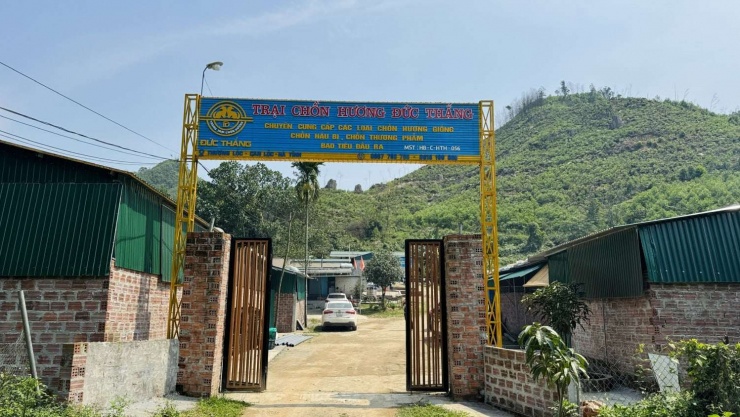 Trang trại nuôi chồn hương Đức Thắng, xã Thượng Lộc, huyện Can Lộc, tỉnh Hà Tĩnh, là một trong số ít trang trại nuôi con đặc sản là động vật hoang dã có quy mô, số lượng lớn nhất Việt Nam.