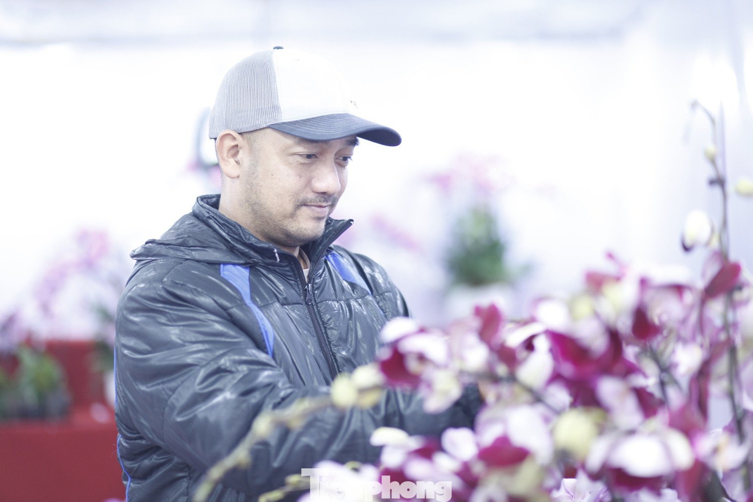 Từ đầu tháng Chạp, những người cắm hoa lan thuê bắt đầu vào vụ Tết.