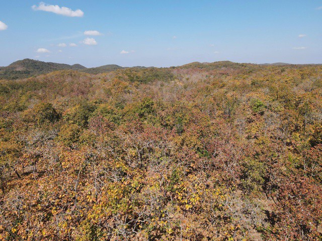 Nhiều năm nay, VQG Yók Đôn đã trở thành điểm đến hấp dẫn để thu hút khách du lịch. Năm 2025, VQG Yók Đôn thu hút khoảng 14.000 lượt khách, trong đó có khoảng 8.000 lượt khách quốc tế.