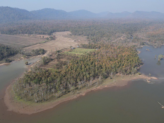 Mê mẩn với rừng khộp lớn nhất Việt Nam vào mùa thay lá - 4