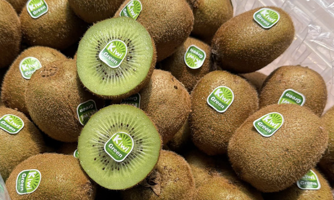 Kiwi xanh được rao bán với giá 470.000 đồng cho rổ 9.5kg tại các chợ đầu mối. Ảnh: Minh Ngọc