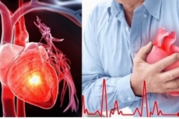 Rét đậm - thử thách với sức khỏe tim, phổi và mạch máu