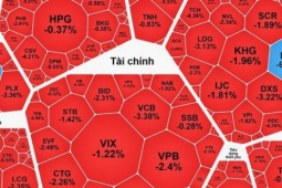 Chứng khoán ngày 23-1: Cổ phiếu trụ kéo thị trường giảm mạnh