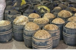 Khởi tố vụ sản xuất giá đỗ bằng chất cấm tại Hưng Yên, thu giữ gần 3 tấn