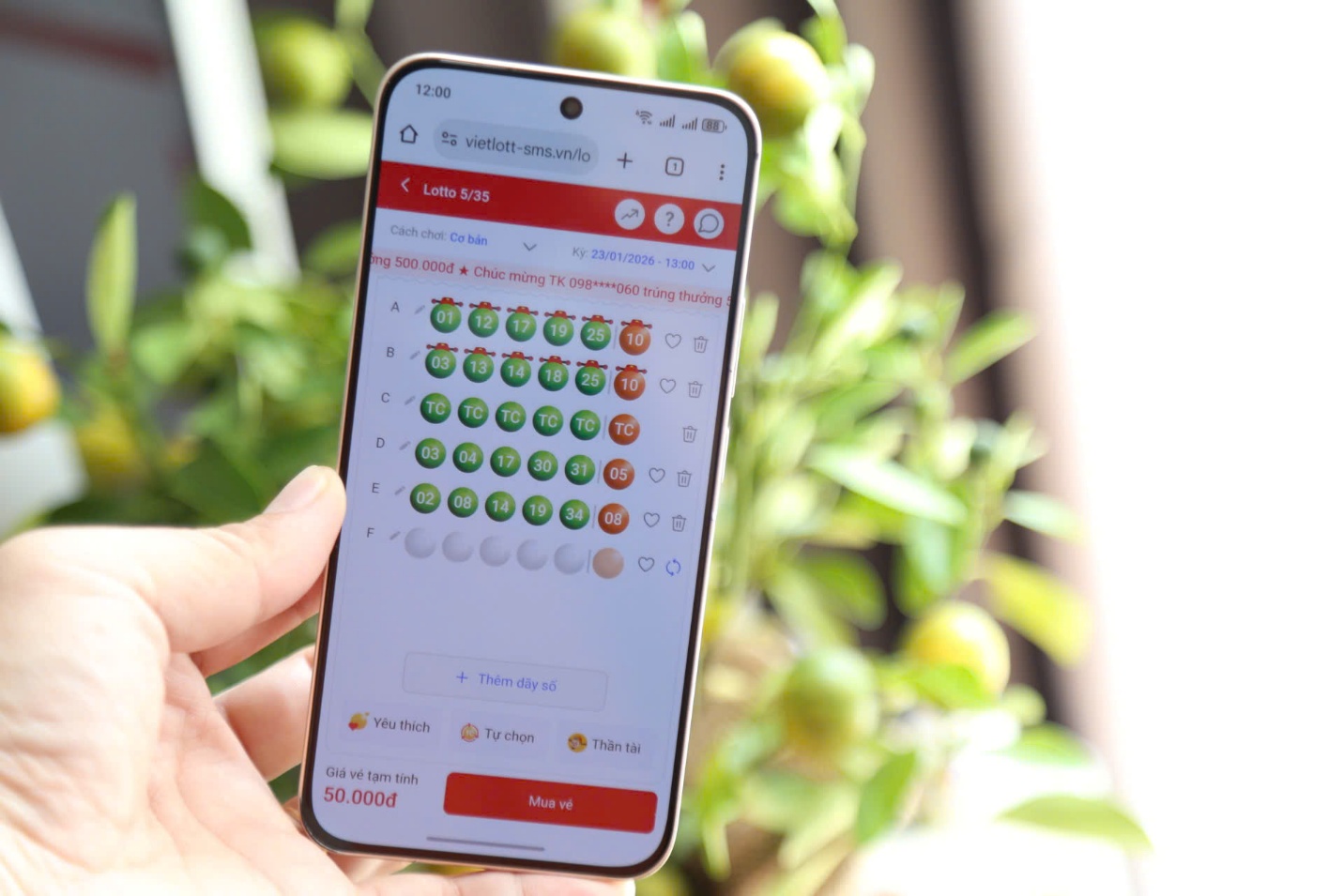 Ngoài vé in tại điểm bán hàng, người chơi có thể mua vé số Lotto 5/35 qua điện thoại.